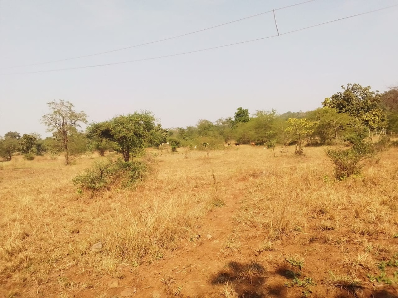 420 Guntha Agricultural/Farm Land for Sale in Shahapur, Thane