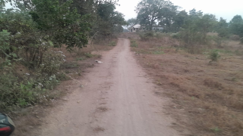 2 Acre Agricultural/Farm Land for Sale in Murbad MIDC, Thane