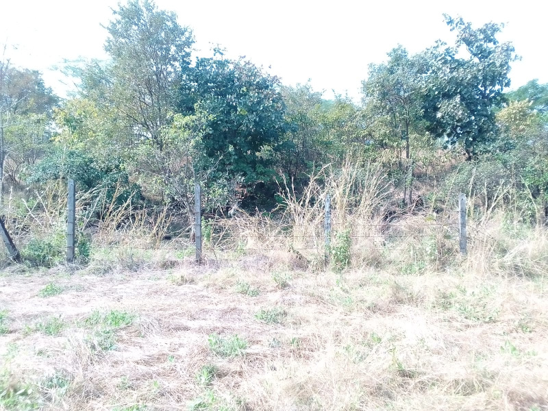 104 Guntha Agricultural/Farm Land for Sale in Murbad, Thane