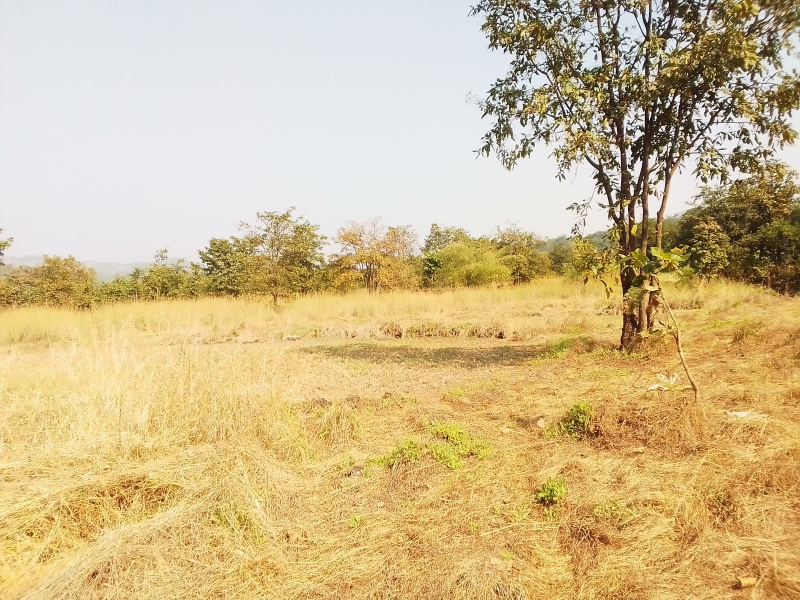 104 Guntha Agricultural/Farm Land for Sale in Murbad, Thane
