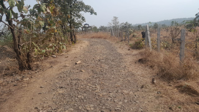 100 Guntha Agricultural/Farm Land for Sale in Murbad, Thane