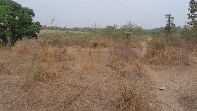 41 Guntha Agricultural/Farm Land for Sale in Murbad, Thane