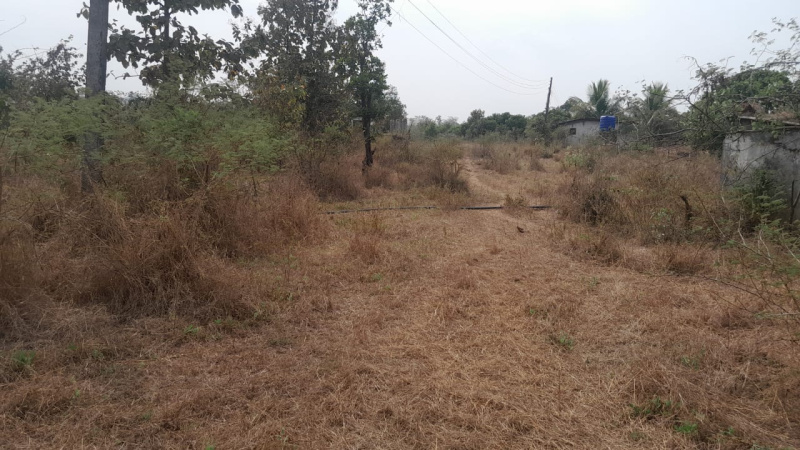 41 Guntha Agricultural/Farm Land for Sale in Murbad, Thane