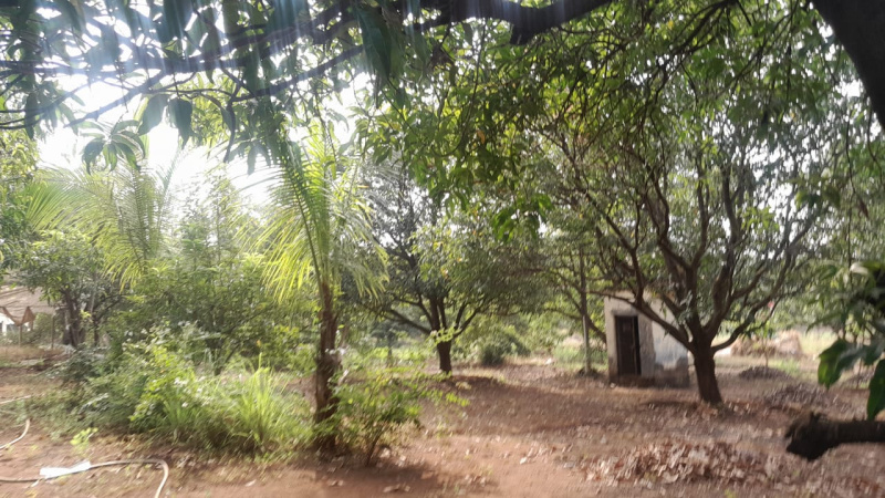 1 BHK Farm House for Sale in Murbad, Thane (56 Guntha)