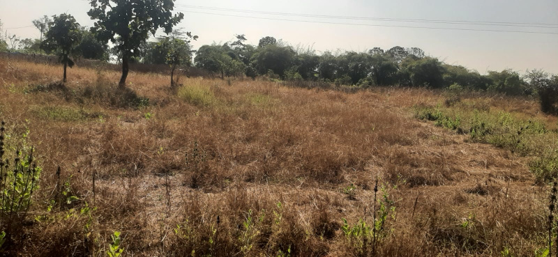 58 Guntha Agricultural/Farm Land for Sale in Murbad, Thane