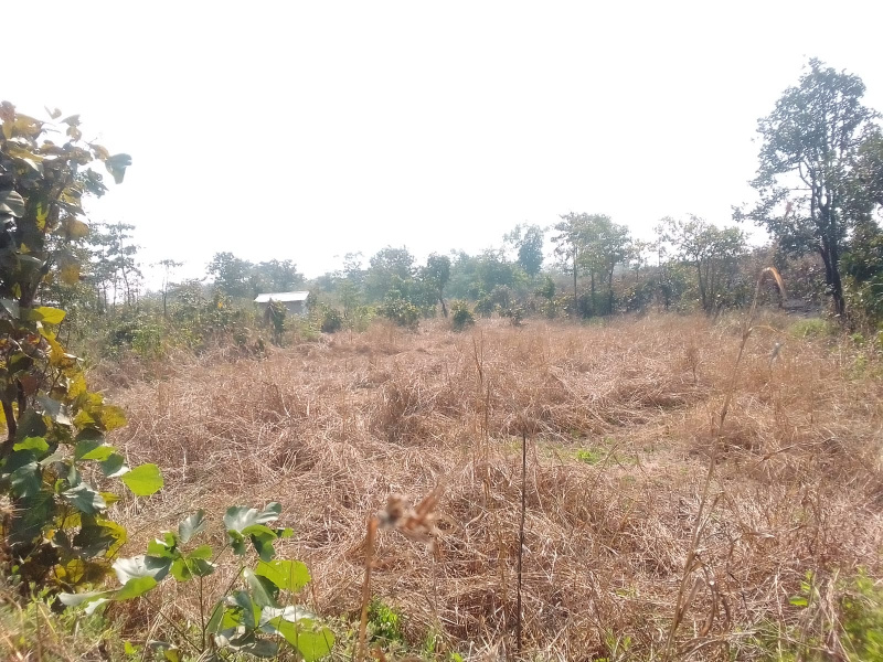 17 Guntha Agricultural/Farm Land for Sale in Murbad, Thane