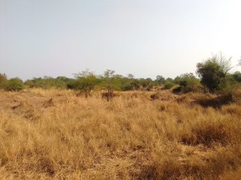 17 Guntha Agricultural/Farm Land for Sale in Murbad, Thane