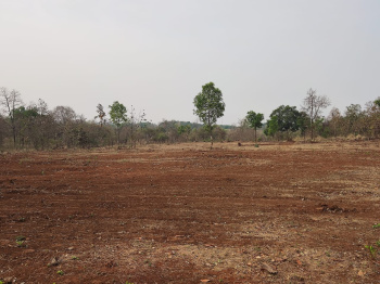 1 Acre Agricultural/Farm Land for Sale in Mumbra, Thane