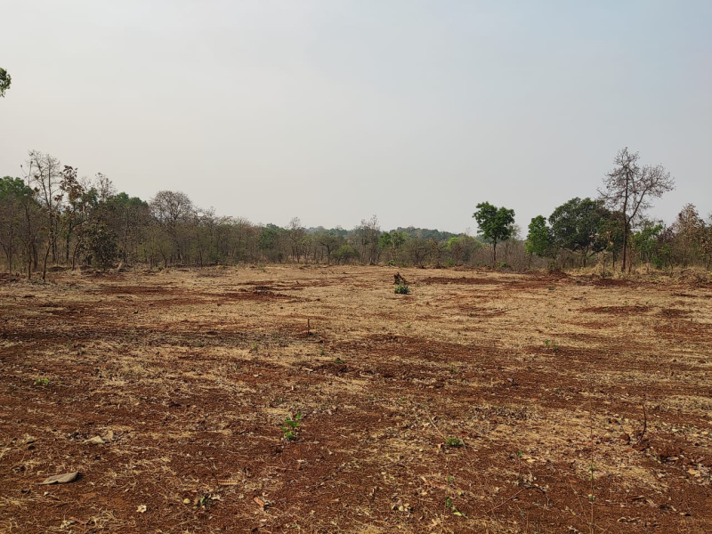 1 Acre Agricultural/Farm Land for Sale in Mumbra, Thane
