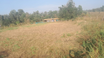 21 Guntha Agricultural/Farm Land for Sale in Murbad, Thane