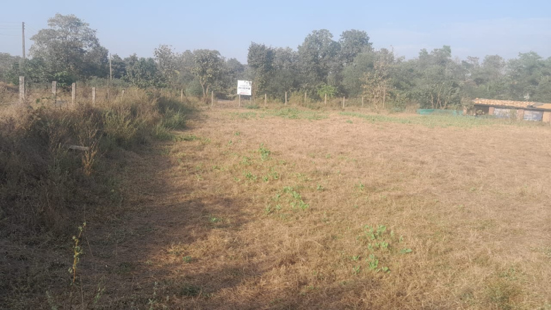 21 Guntha Agricultural/Farm Land for Sale in Murbad, Thane
