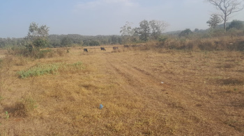 13 Guntha Agricultural/Farm Land for Sale in Murbad, Thane