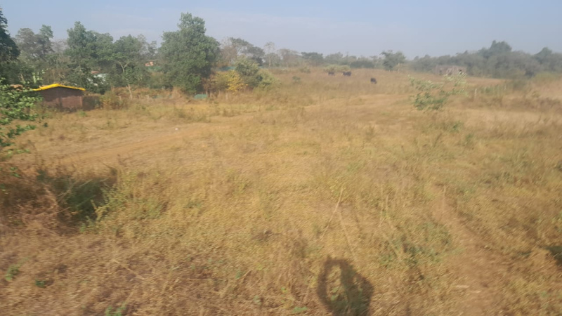 13 Guntha Agricultural/Farm Land for Sale in Murbad, Thane
