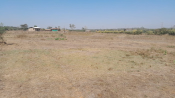 53 Guntha Agricultural/Farm Land for Sale in Mumbra, Thane