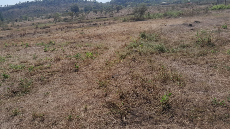 53 Guntha Agricultural/Farm Land for Sale in Mumbra, Thane