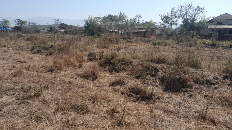 29 Guntha Agricultural/Farm Land for Sale in Murbad, Thane
