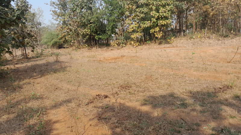 3 Guntha Agricultural/Farm Land for Sale in Murbad, Thane (20 Guntha)