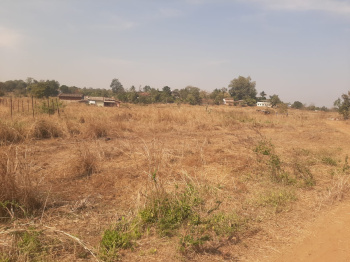 3 Guntha Agricultural/Farm Land for Sale in Murbad, Thane (20 Guntha)