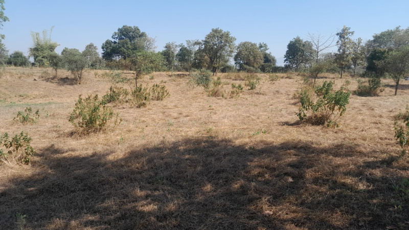 2 Acre Agricultural/Farm Land for Sale in Murbad, Thane