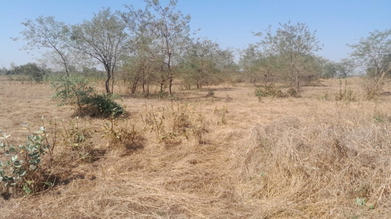 26 Guntha Agricultural/Farm Land for Sale in Murbad, Thane