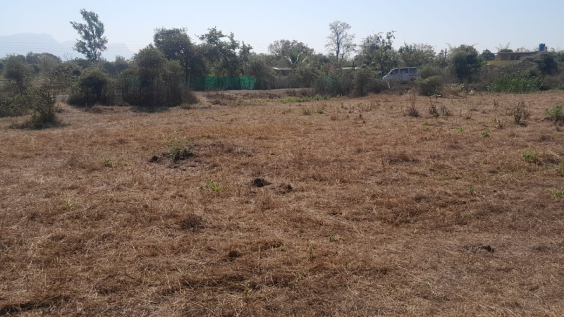 26 Guntha Agricultural/Farm Land for Sale in Murbad, Thane