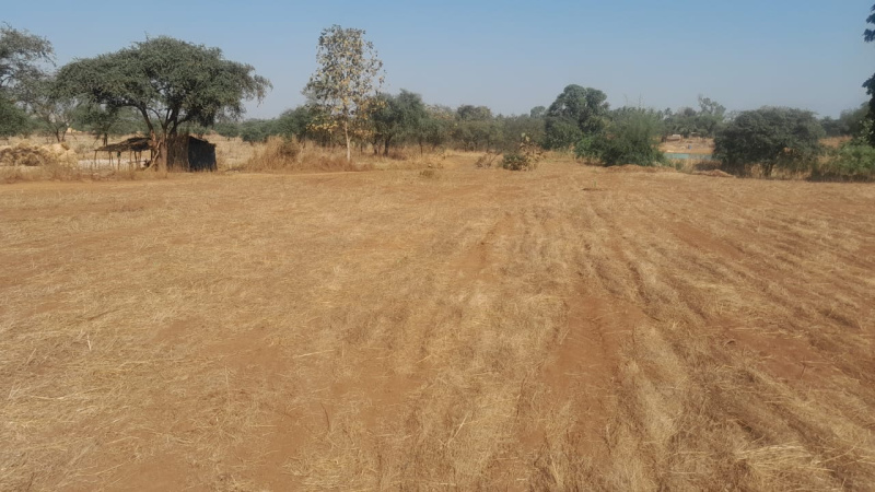 73 Guntha Agricultural/Farm Land for Sale in Murbad, Thane