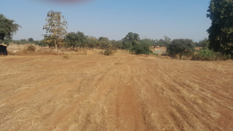 73 Guntha Agricultural/Farm Land for Sale in Murbad, Thane