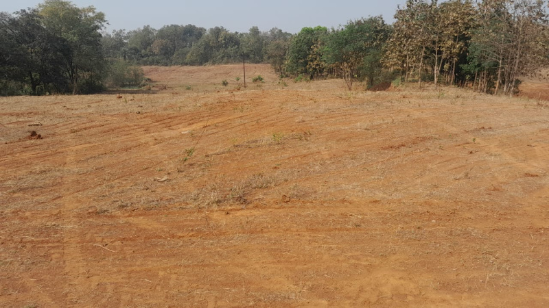 7 Acre Agricultural/Farm Land for Sale in Murbad MIDC, Thane