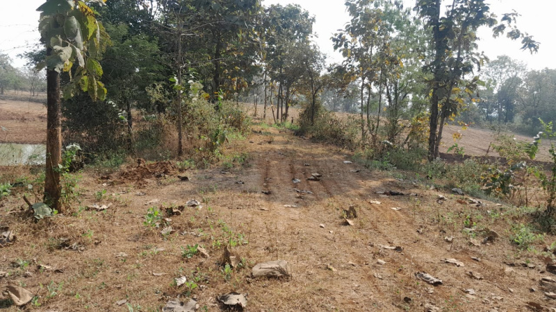 7 Acre Agricultural/Farm Land for Sale in Murbad MIDC, Thane