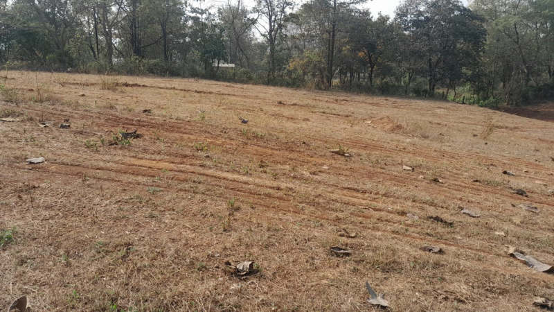 7 Acre Agricultural/Farm Land for Sale in Murbad, Thane