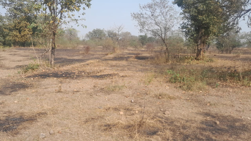 102 Guntha Agricultural/Farm Land for Sale in Murbad, Thane
