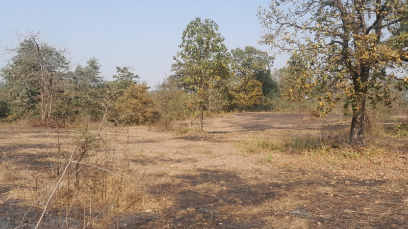 102 Guntha Agricultural/Farm Land for Sale in Murbad, Thane