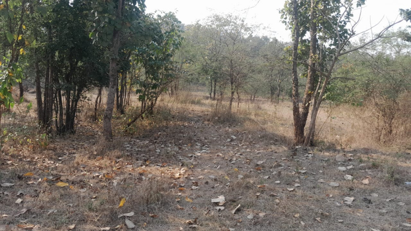 10 Guntha Agricultural/Farm Land for Sale in Murbad, Thane