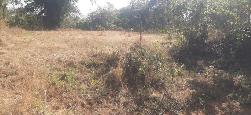 20 Guntha Agricultural/Farm Land for Sale in Murbad MIDC, Thane