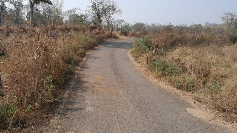 16 Guntha Agricultural/Farm Land for Sale in Murbad, Thane
