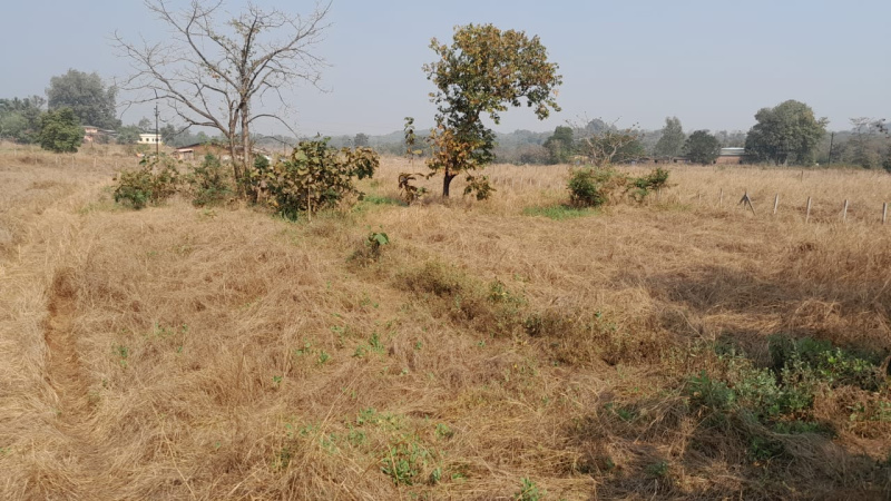 28 Guntha Agricultural/Farm Land for Sale in Murbad, Thane