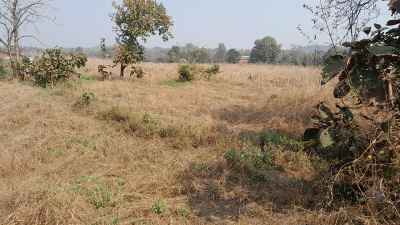 28 Guntha Agricultural/Farm Land for Sale in Murbad, Thane
