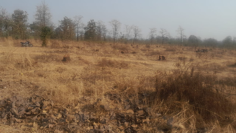 50 Guntha Agricultural/Farm Land for Sale in Murbad MIDC, Thane