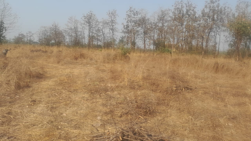 50 Guntha Agricultural/Farm Land for Sale in Murbad MIDC, Thane