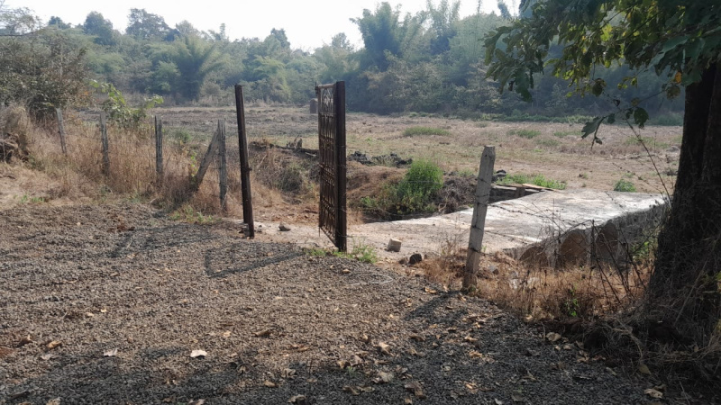 4 Acre Agricultural/Farm Land for Sale in Murbad, Thane