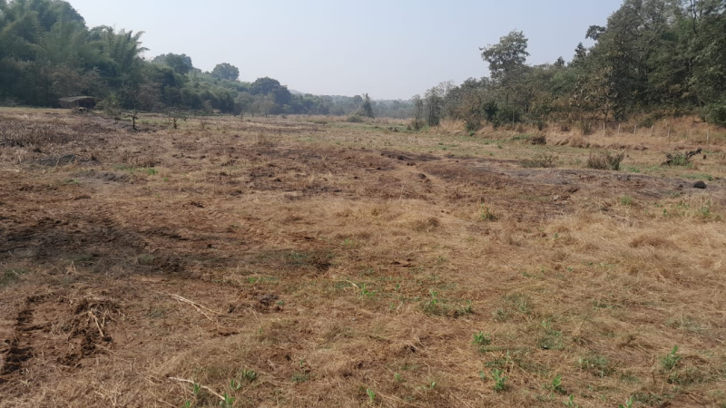 4 Acre Agricultural/Farm Land for Sale in Murbad, Thane