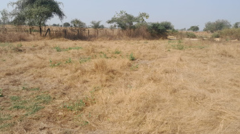 40 Guntha Agricultural/Farm Land for Sale in Murbad MIDC, Thane