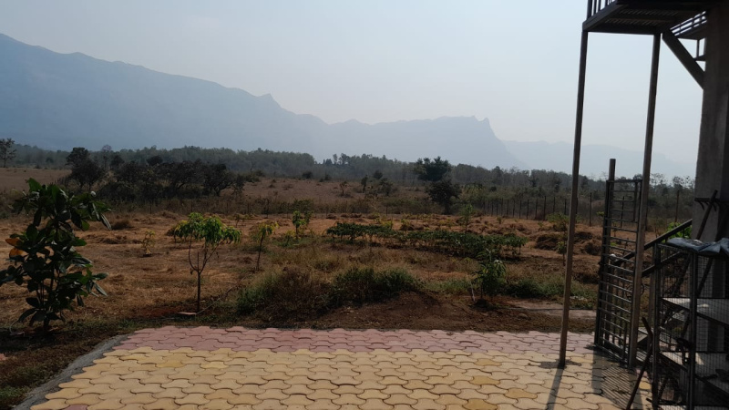 65 Guntha Agricultural/Farm Land for Sale in Murbad, Thane