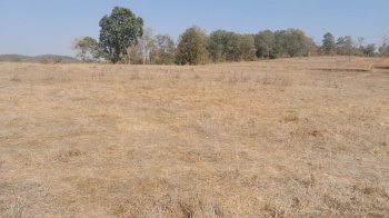 157 Guntha Agricultural/Farm Land for Sale in Murbad, Thane