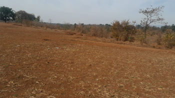 210 Acre Agricultural/Farm Land for Sale in Murbad, Thane