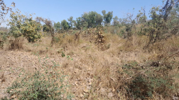 220 Guntha Agricultural/Farm Land for Sale in Murbad, Thane