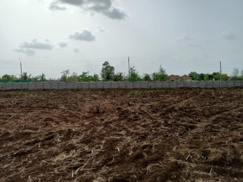 9.20 Acre Agricultural/Farm Land for Sale in Murbad, Thane