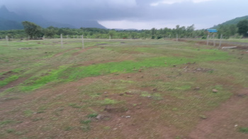 60 Acre Agricultural/Farm Land for Sale in Murbad, Thane