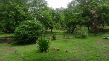 12.75 Acre Agricultural/Farm Land for Sale in Murbad, Thane