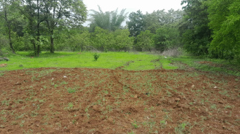 10 Acre Agricultural/Farm Land for Sale in Shahapur, Thane